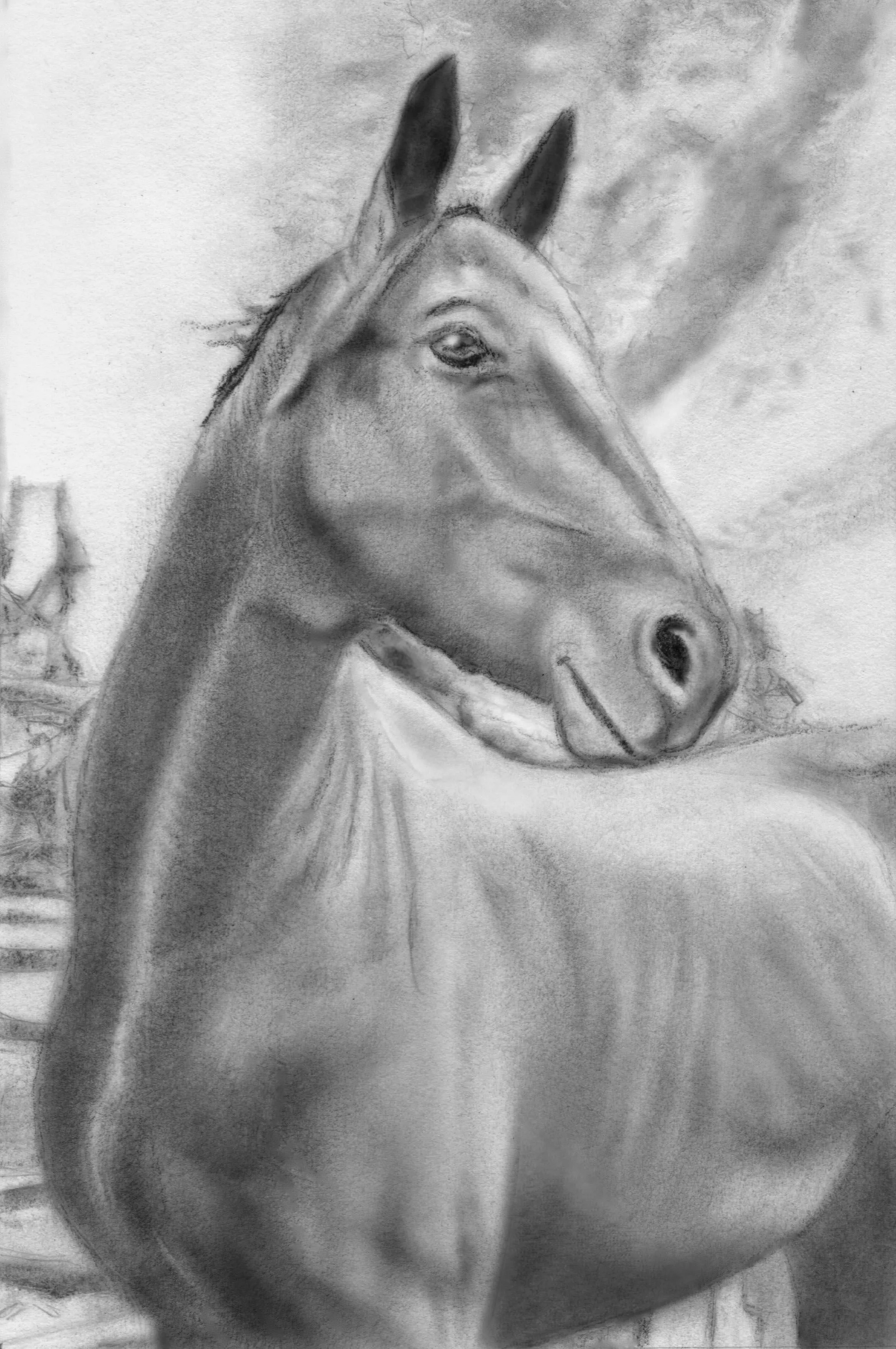 Learn How to Draw and Paint Horses for Beginners