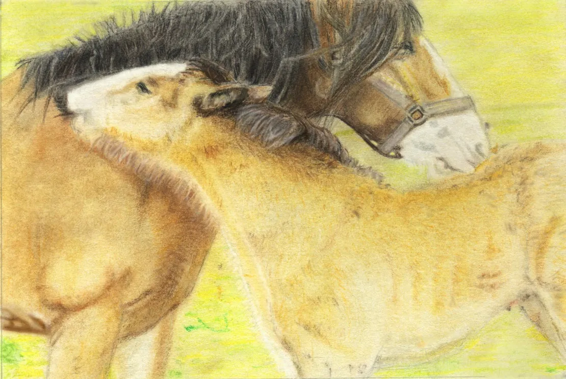 Learn How to Draw and Paint Horses for Beginners