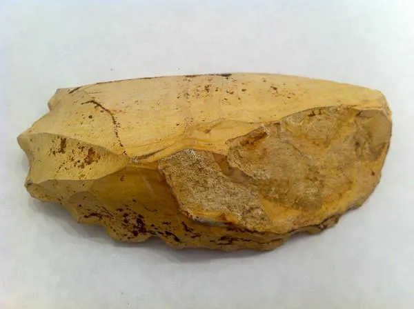 Mesolithic French Dendiculate Stone Saw