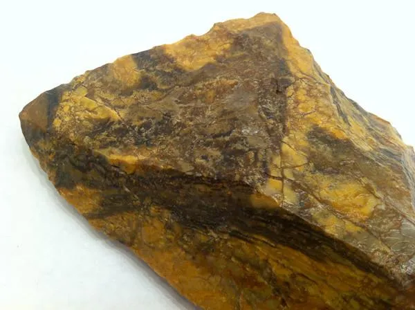 Mesolithic French Dendiculate Stone Saw