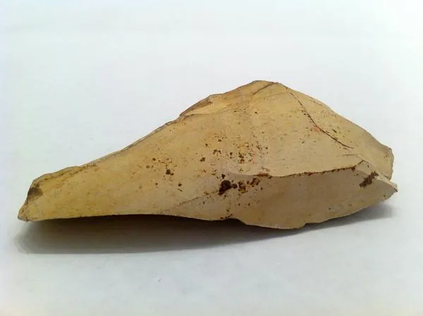 Mesolithic French Dendiculate Stone Saw