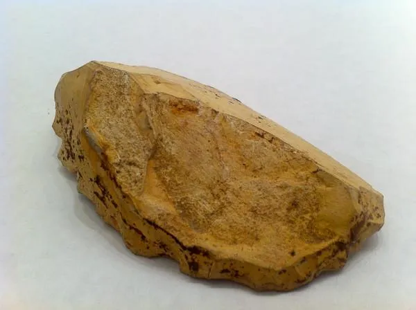 Mesolithic French Dendiculate Stone Saw