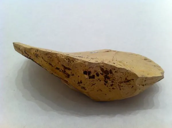 Mesolithic French Dendiculate Stone Saw
