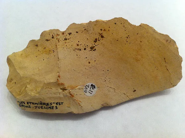 Mesolithic French Dendiculate Stone Saw