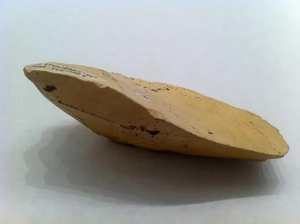 Mesolithic French Dendiculate Stone Saw